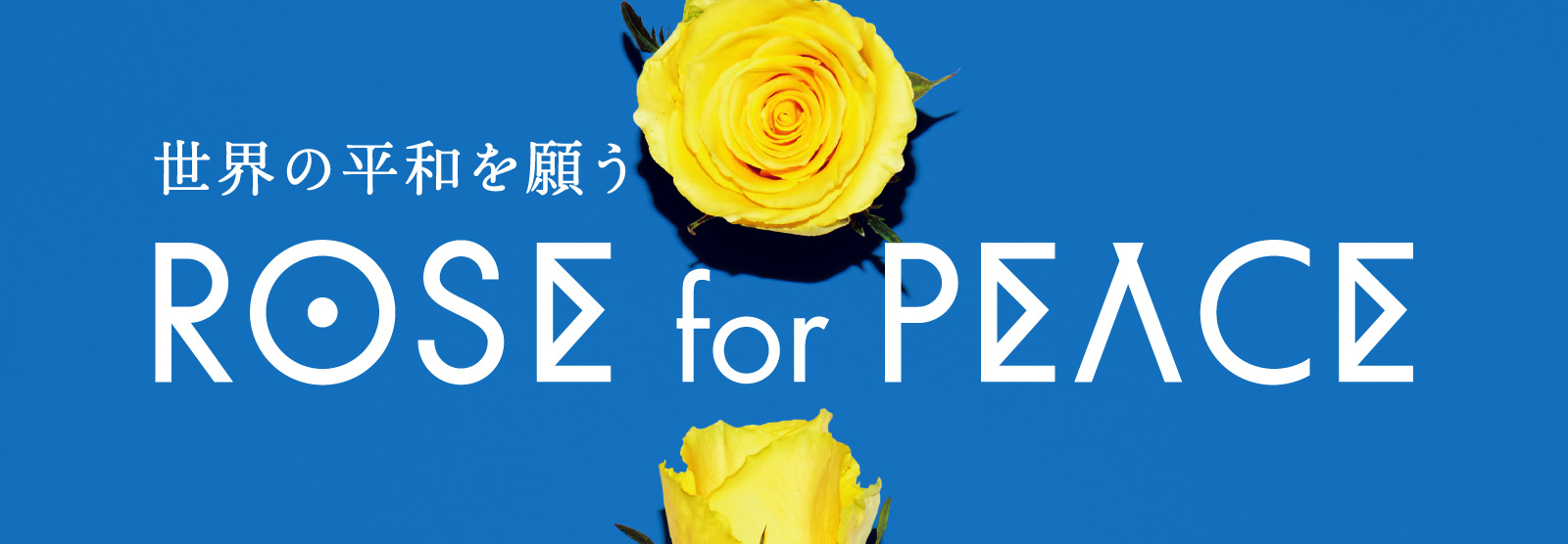 世界の平和を願う「ROSE for PEACEキャンペーン」を開催します！