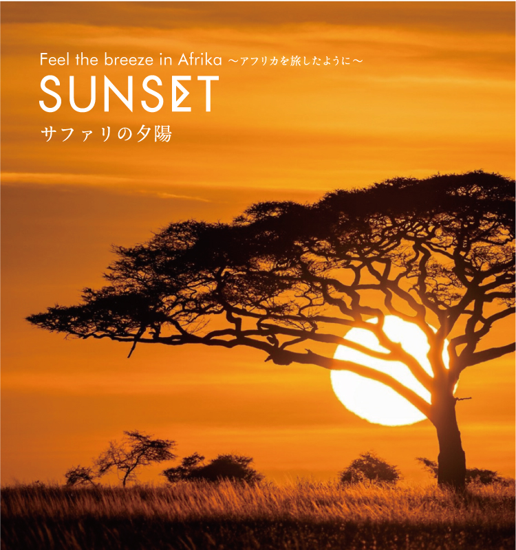 SUNSET〜サファリの夕陽〜