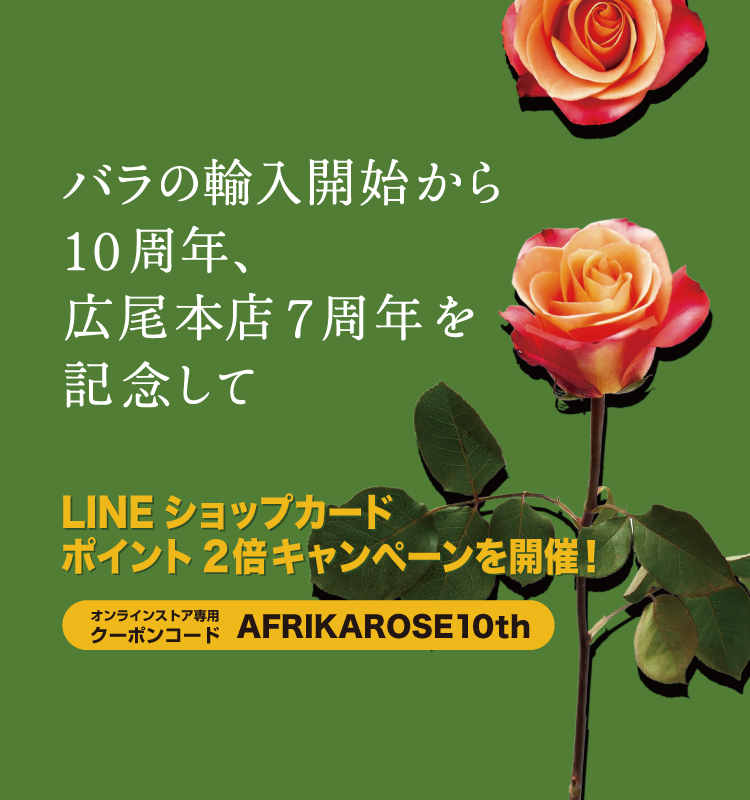 バラの輸入開始から10周年、広尾本店7周年を記念して