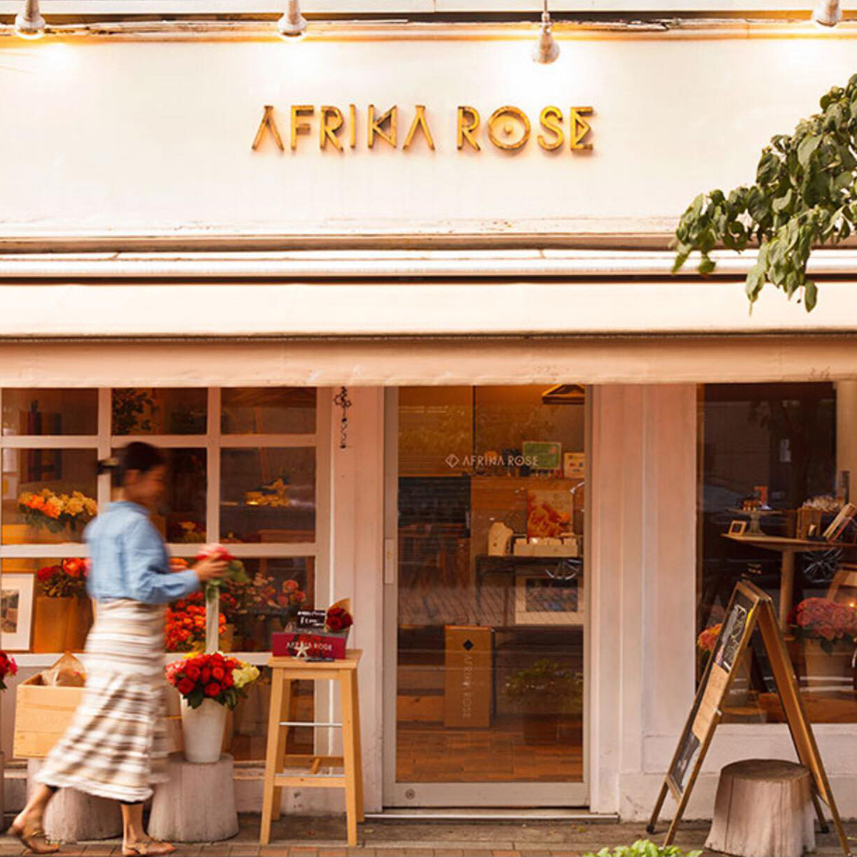 AFRIKA ROSE 広尾店閉店のお知らせ イメージ