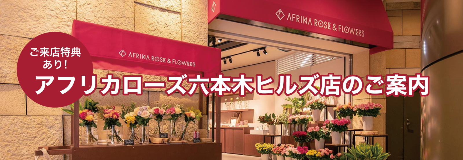 アフリカローズ六本木ヒルズ店の紹介