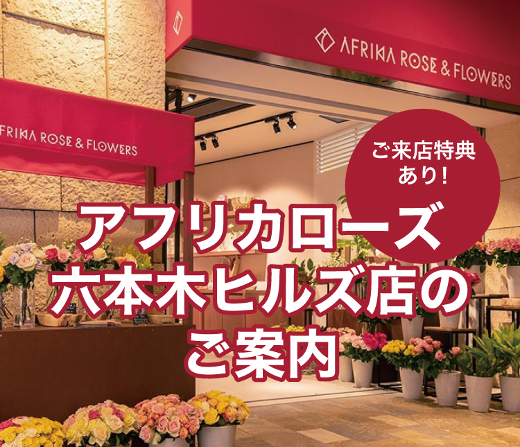 アフリカローズ六本木ヒルズ店の紹介