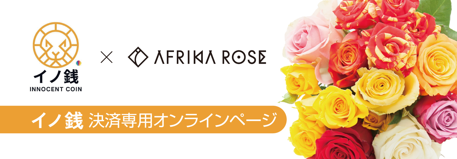 AFRIKA ROSE × イノ銭 特設ページ