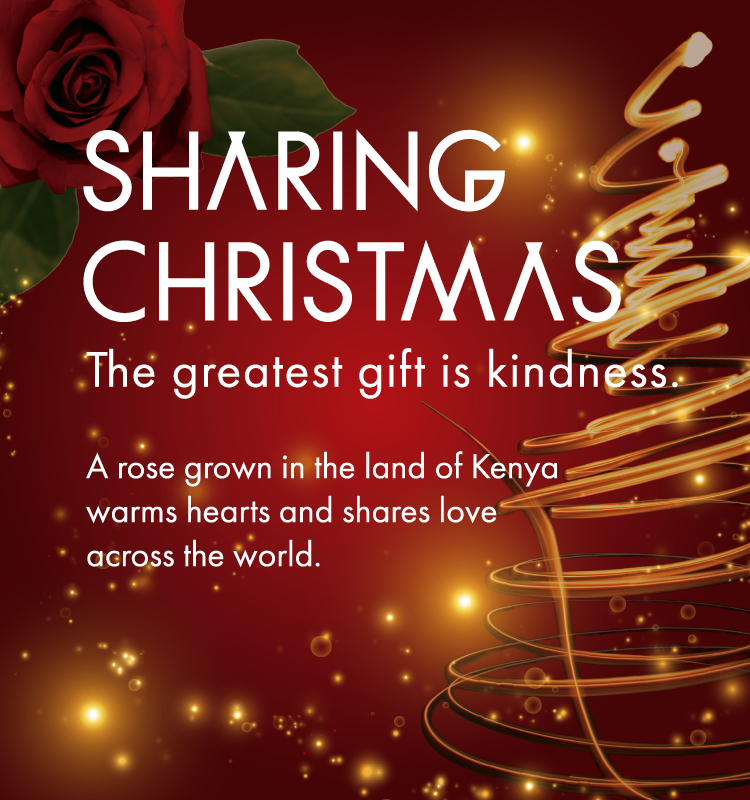 アフリカローズの「SHARING CHRISTMAS 2025」
