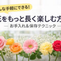 こんな手軽にできる！ 花をもっと長く楽しむ方法｜お手入れ&保存テクニック