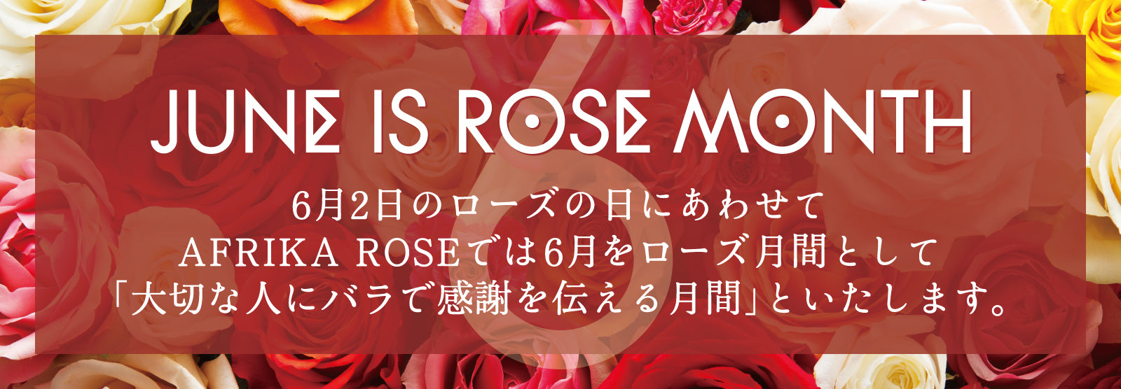 ローズ月間キャンペーン開催！抽選で5名におまかせ花束プレゼント！