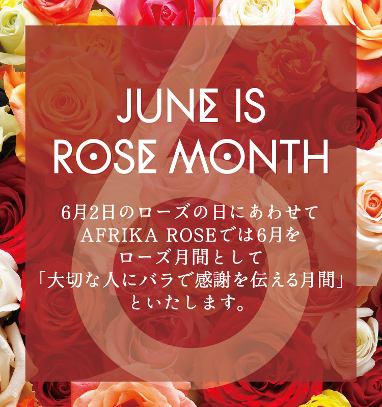 ローズ月間キャンペーン開催！抽選で5名におまかせ花束プレゼント！ イメージ