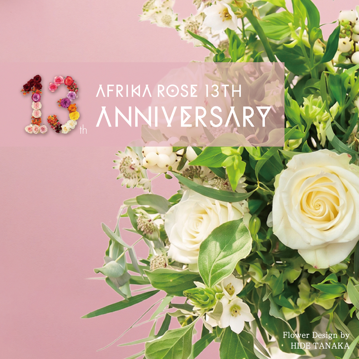 AFRIKA ROSE 13th ANNIVERSARY イメージ